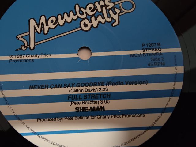 Vinilo She-Man