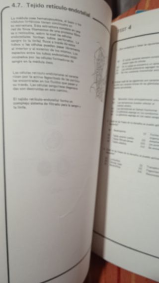 Anatomia y fisiologia