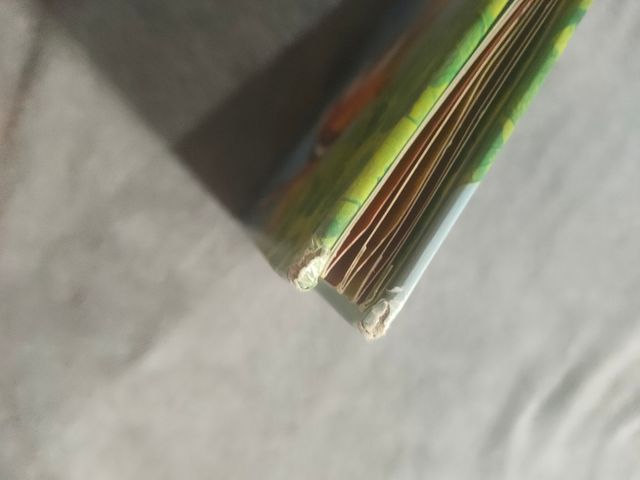 Ets tu, mofeta? (LLIBRES SORPRESA) (Catalan Edition)