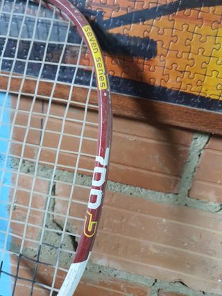 Raquetas artengo 700