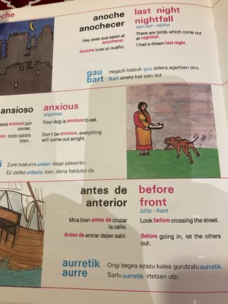 Diccionario ilustrado español  inglés euskera