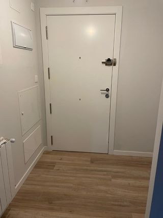 Carpintero montaje de puertas