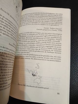 ¿Los terribles cocodrilos? (La Ciencia Para Todos, 197) (Spanish Edition)