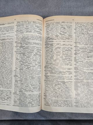 Dizionario bilingue italiano/tedesco