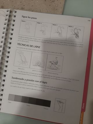 Aprende a dibujar cosas divertidas