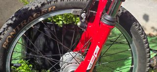 Bicicleta niño Trek