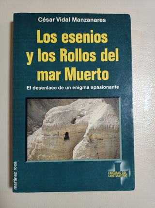 Libro Los esenios y los rollos del mar muerto