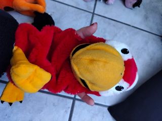 Pupazzo marionetta pappagallo