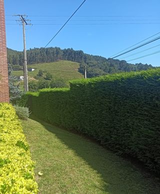 JARDINERO ECONÓMICO HERRAMIENTA PROPIA