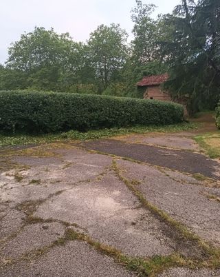 JARDINERO ECONÓMICO HERRAMIENTA PROPIA