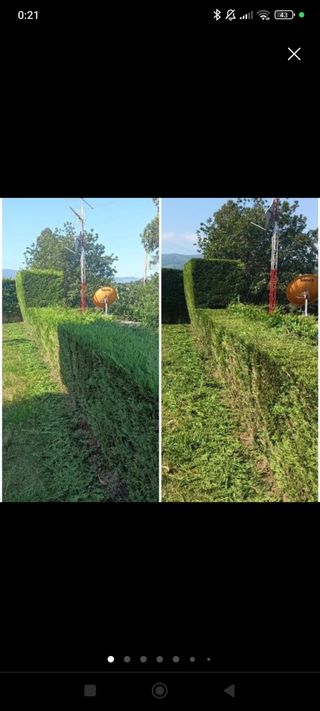 JARDINERO ECONÓMICO HERRAMIENTA PROPIA