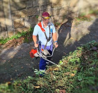 Limpieza de parcelas poda de árboles