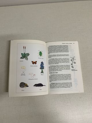 Guía para observar la naturaleza