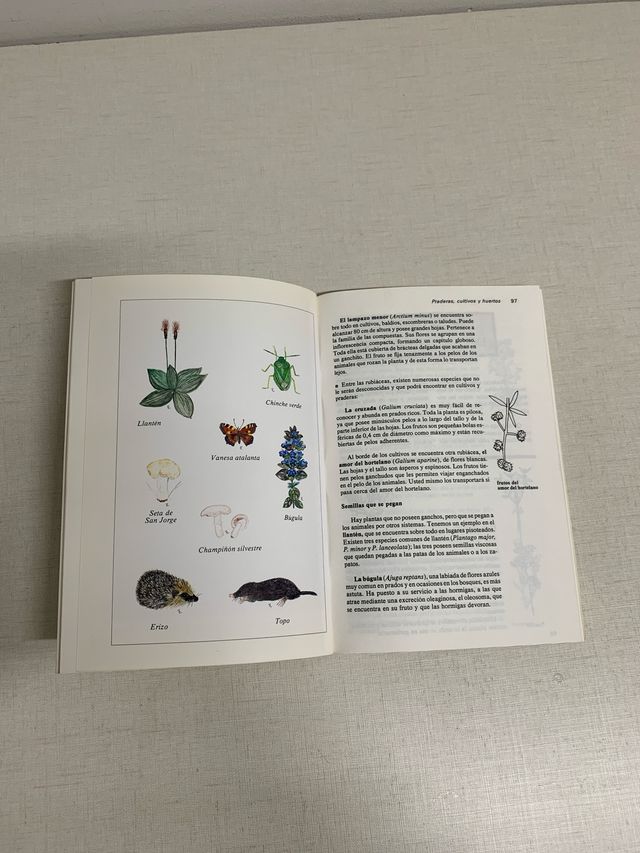 Guía para observar la naturaleza