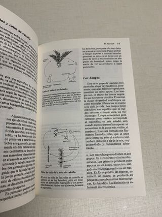 Guía para observar la naturaleza