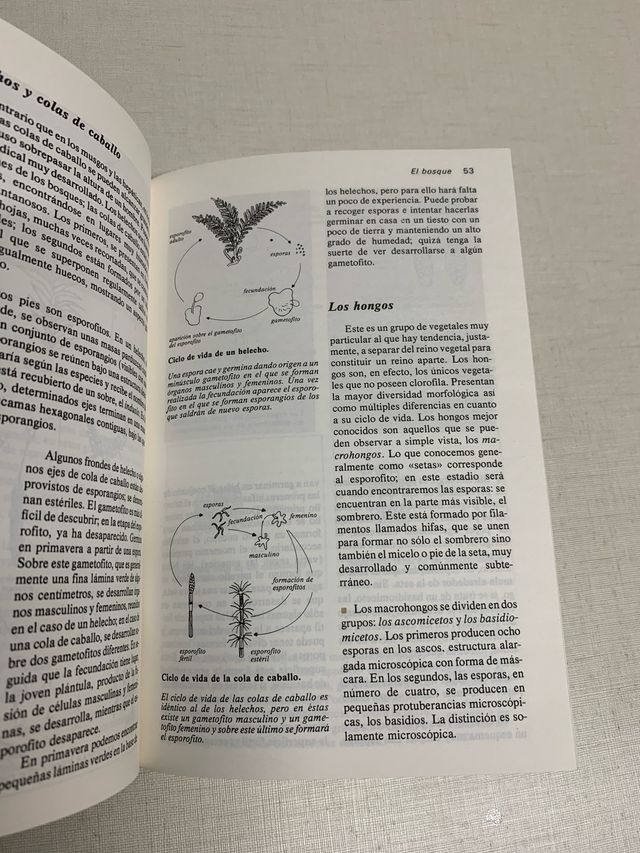 Guía para observar la naturaleza