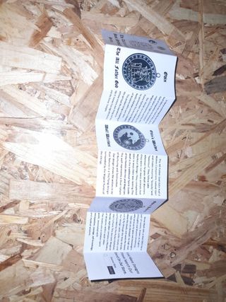 Anillo giratorio Runas Vikingas