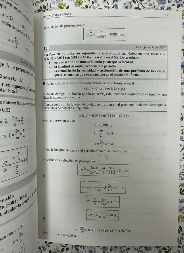 RESUELVE CON EXITO TU SELECTIVIDAD FÍSICA