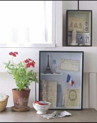 Cuadro vitrina con marco rústico