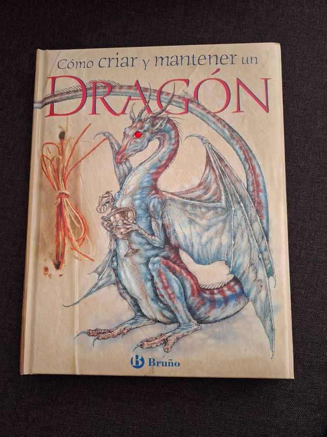 Cómo criar y mantener un dragón (Albumes Deluxe) (Spanish Edition)