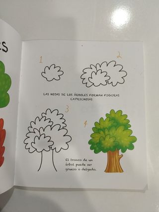 Primer libro de dibujo niños y adultos