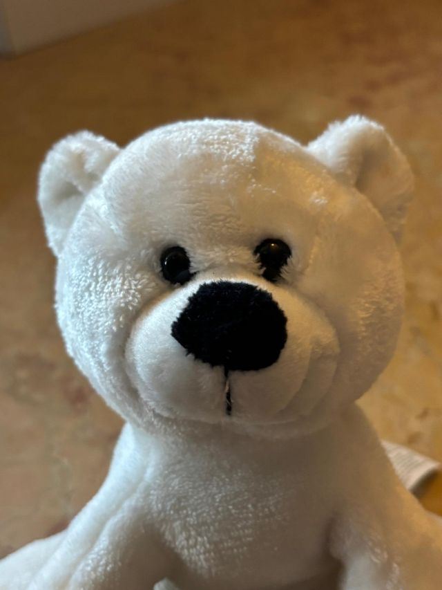 Orsetto peluche
