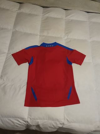Camiseta Selección Española Campeón