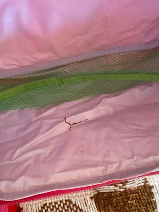 Borsa Termica Portavivande Rosa Titti Tweety