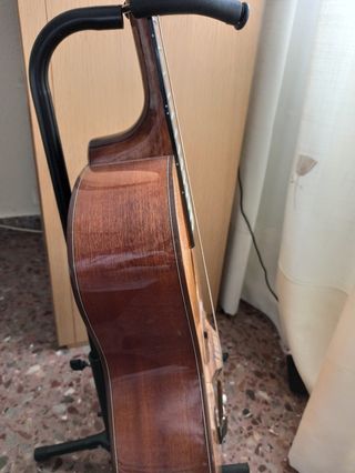 Guitarra gypsy Richmond Artist Series