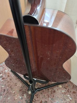 Guitarra gypsy Richmond Artist Series