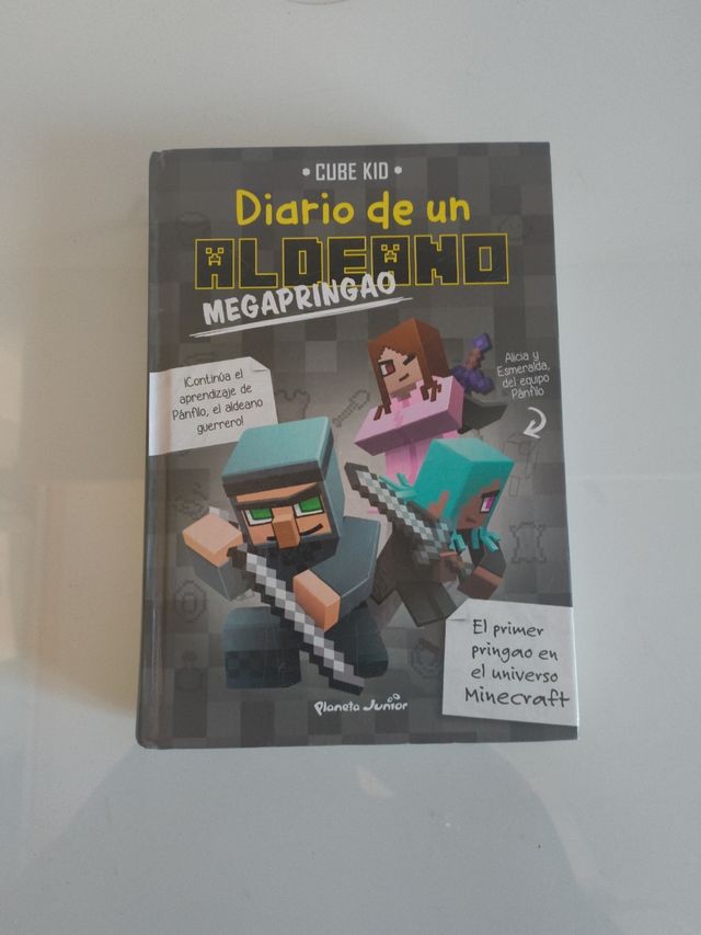 Libro minecraft