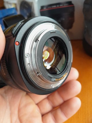 Canon 50mm 1.2 L USM
