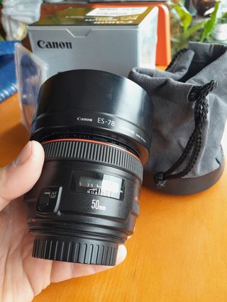Canon 50mm 1.2 L USM