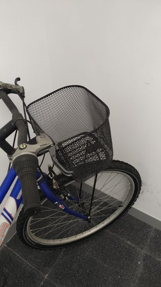 Bicicleta paseo