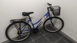 Bicicleta paseo