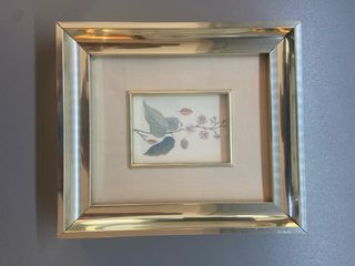 Cuadros de plantas y flores