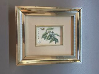 Cuadros de plantas y flores