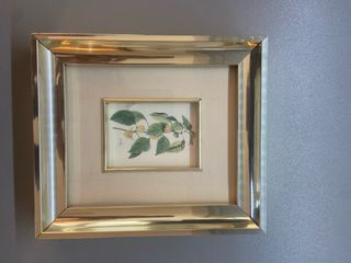 Cuadros de plantas y flores