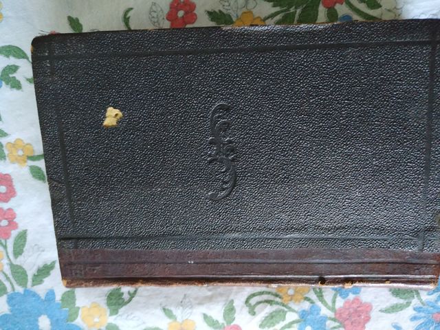 La dame aux camelias ed. 1893