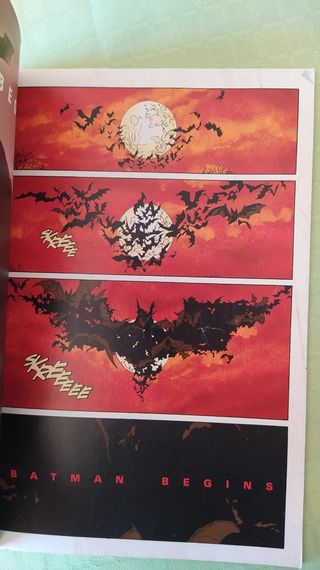 Batman Begins 01 - il film a fumetti