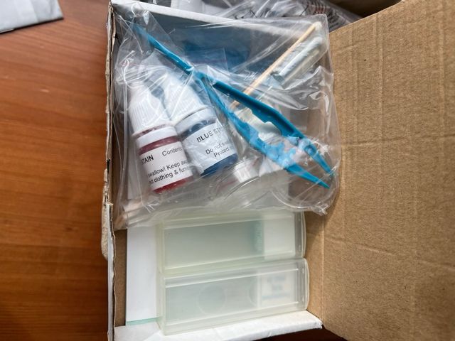 Microscopio educativo