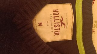 Jersey Hollister