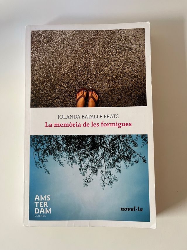 La memòria de les formigues