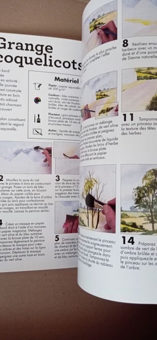 🎨📖(15€) Libro / livre / book Peindre les Granges