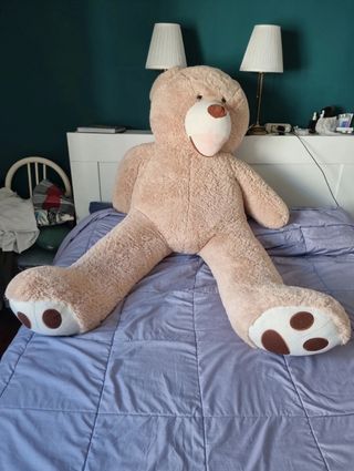 Orso Gigante