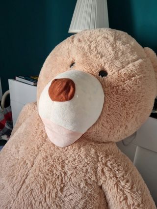 Orso Gigante