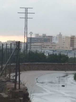 Se ofrece conductor de vehículo propio