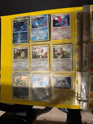 Album carte Pokémon parte 1/3
