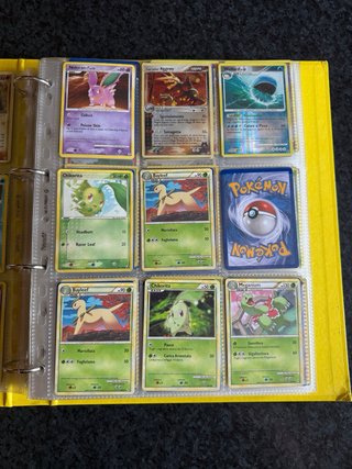 Album carte Pokémon parte 1/3