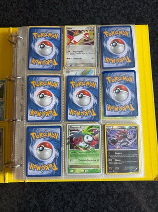 Album carte Pokémon parte 1/3